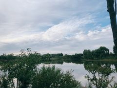 -东郊湿地公园