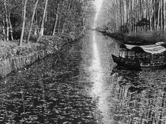 -合肥滨湖国家森林公园