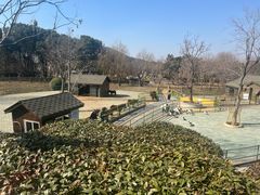 -无锡动物园·太湖欢乐园