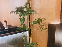 -阿露佳·舌尖上的安吉菜