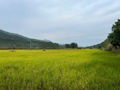 -清远鱼水旅游风景度假区