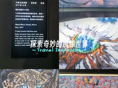 -罗红摄影艺术馆