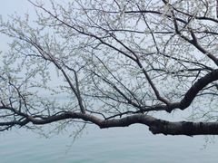 -颐和园