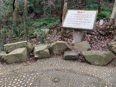-上海佘山国家森林公园天马山园