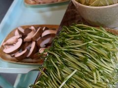 -顺德哥卜卜贝(旗舰店)