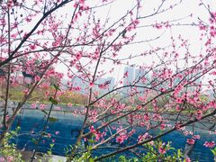 -重庆彩云湖湿地公园