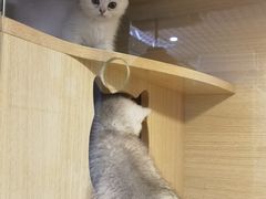 -三旗百汇商品城