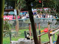 -重庆动物园·东二门售票处