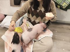 -浣熊柯尔鸭土拨鼠·电玩咖