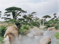 -罗红摄影艺术馆