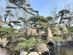 -罗红摄影艺术馆