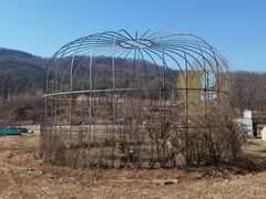 -金石滩蓝莓谷庄园