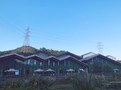 -西湖风景区-江洋畈生态公园