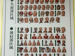 -通透堂中医·精准推拿(旗舰店)
