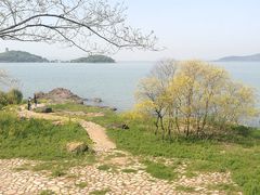 -上海市保健医疗中心