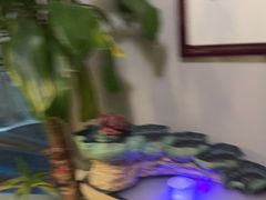 -净耳阁采耳文化体验馆(华强北店)