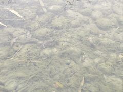 -中国天府农业博览园