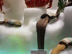 -雍和会海鲜姿造自助(湖东路店)