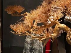 -百富源·海鲜辽菜(和平北大街店)