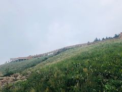 -白草畔自然风景区