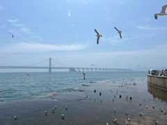 -星海广场