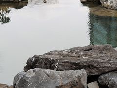 -四海公园(南山区)
