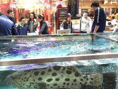 -渔民新村(番禺总店)