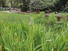 -成都市活水公园