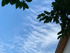 -云里小坐·小院里·团建·宴请·下午茶(三圣乡店)