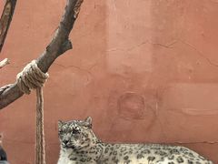 -青藏高原野生动物园
