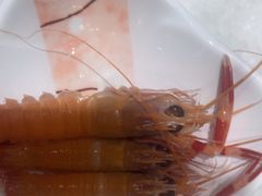 -蓝珊甄选海鲜自助·火锅大排档(近阿那亚店)