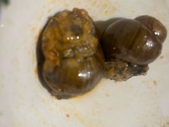 -凤凰山斑鱼馆(恭城店)