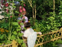 -宜昌富力皇冠假日酒店·咖啡1号西餐厅