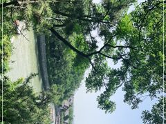 -蓬莱阁景区