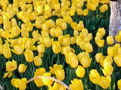 -玄武湖景区-情侣园游乐场