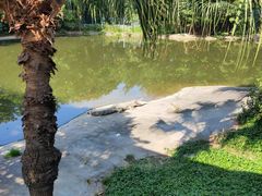 -广州长隆飞鸟乐园