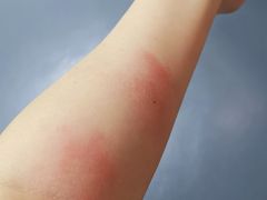 -蓝天射箭馆·专业射箭运动(诚丰广场店)