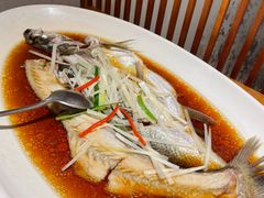 -丹江渔村(望京店)