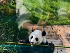 -无锡动物园·太湖欢乐园