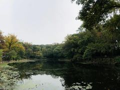 -灵谷景区