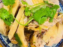 -九斤黄三黄鸡专卖店