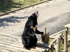 -大连森林动物园