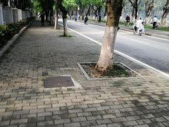 -中山大学-学5食堂