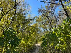 -北京鹫峰国家森林公园