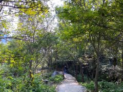 -北京密云天门山风景区