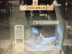 -筠咖啡西餐厅(上海国展宝龙丽筠酒店)