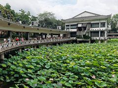 -荔湾湖公园