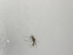 -印巷里主题餐厅(马鞍山店)