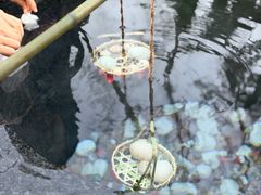 -广东温泉宾馆