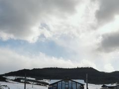 -长白山鲁能胜地瑞士酒店-度假村·怡客全日制餐厅